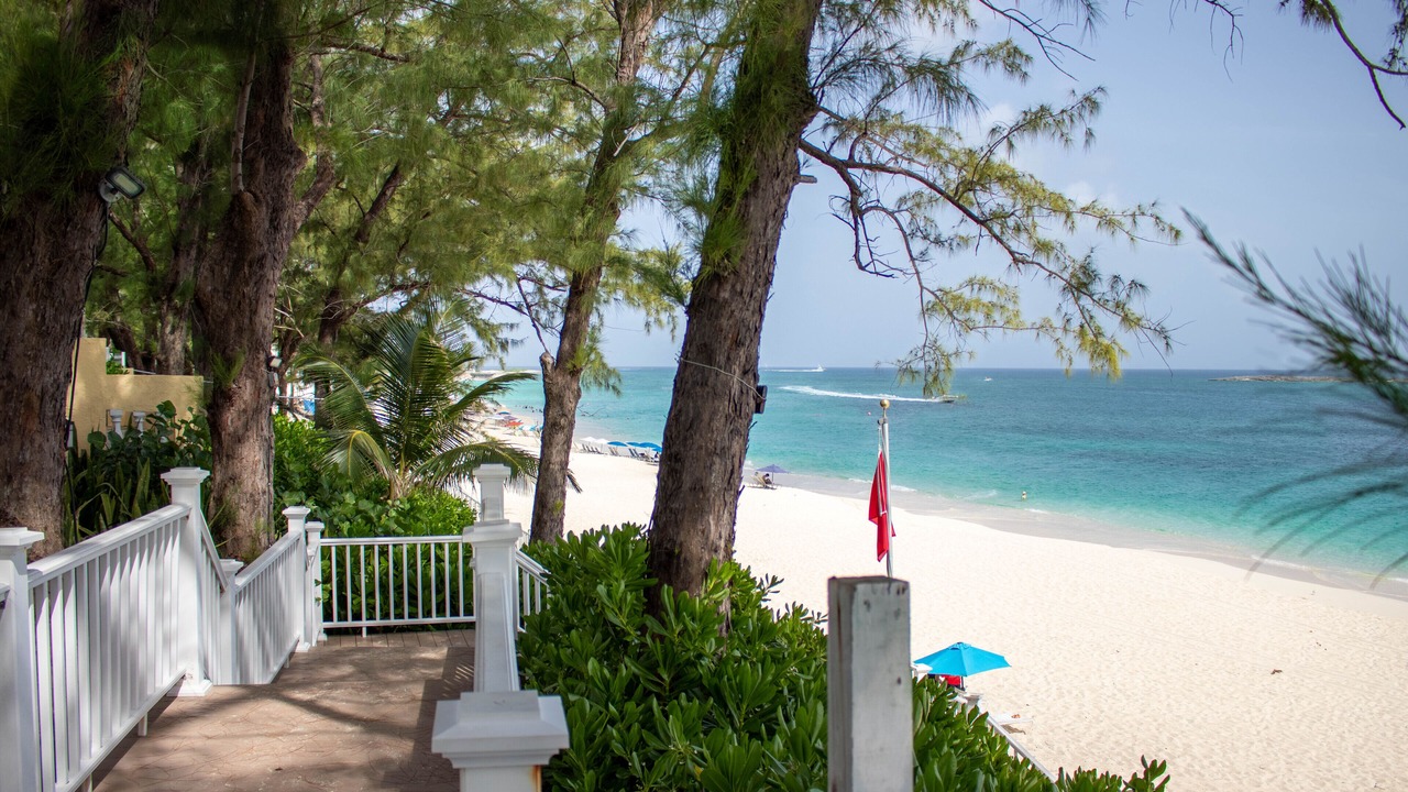 Photo of Others in Paradise Island