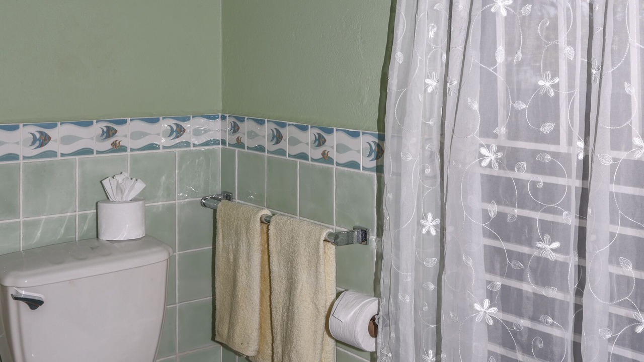 Photo of Bathroom in Saline Point