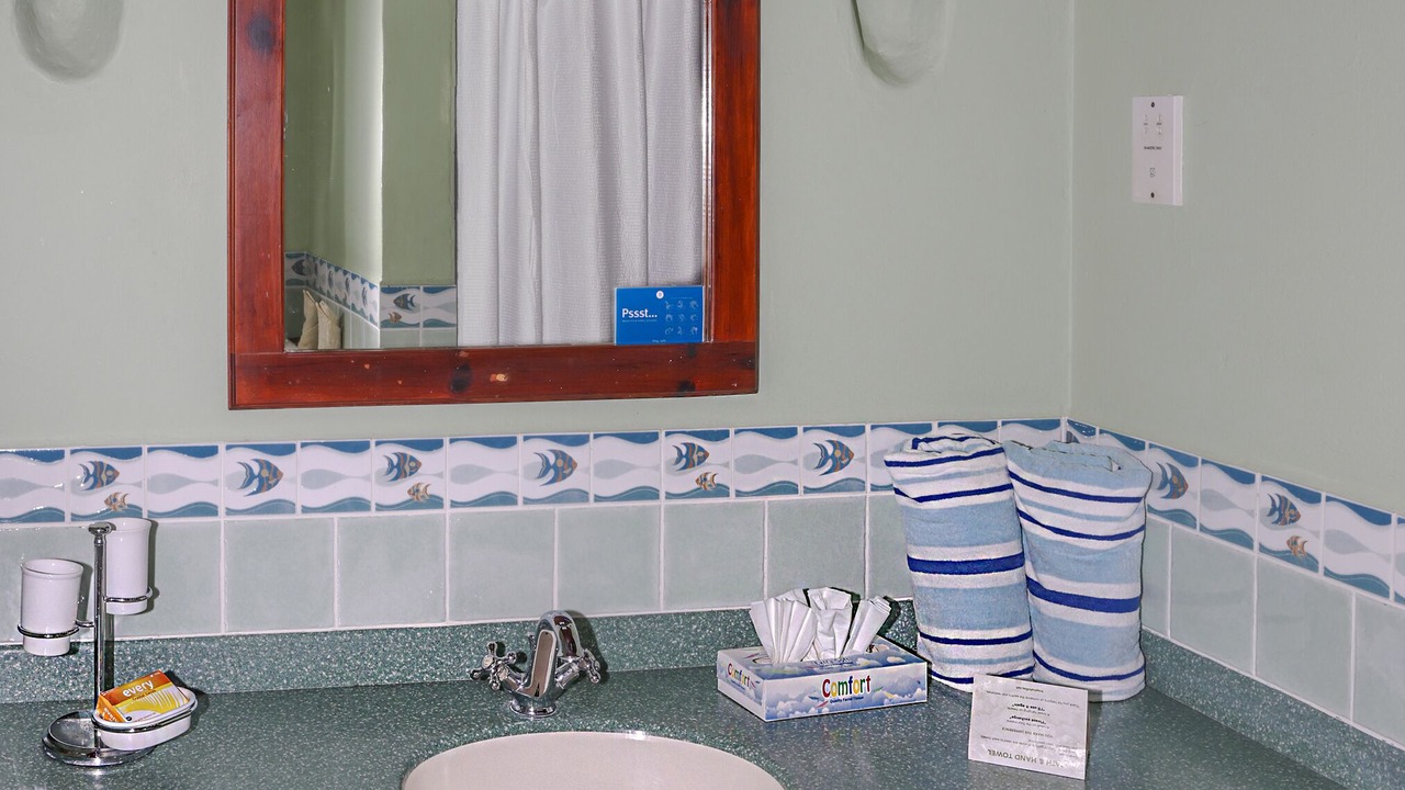 Photo of Bathroom in Saline Point