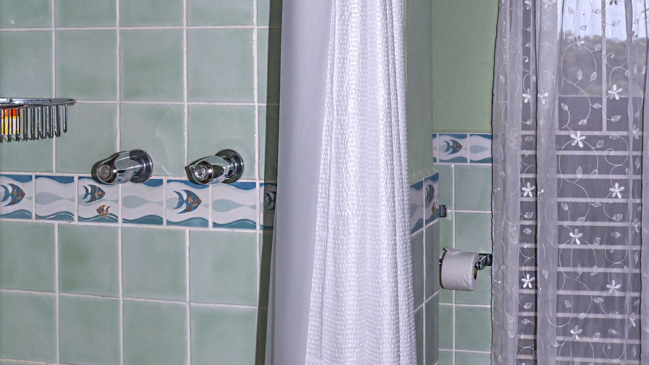 Photo of Bathroom in Saline Point