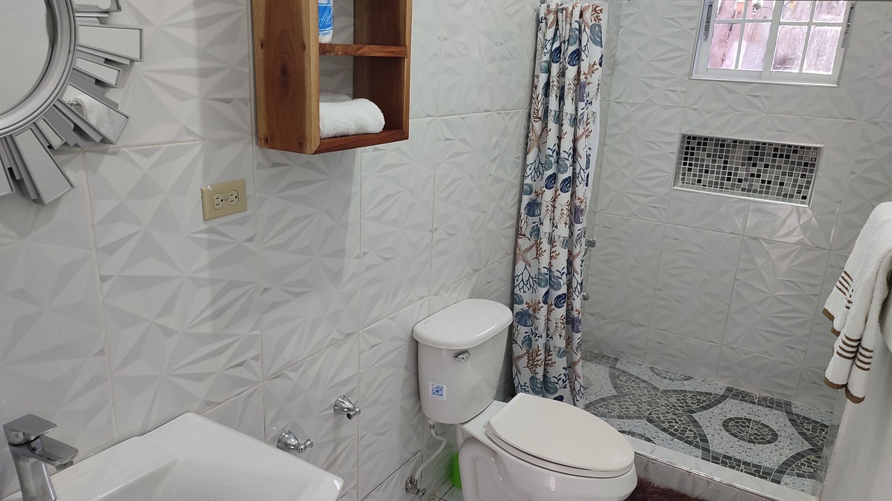 Photo of Bathroom in Treasure Beach