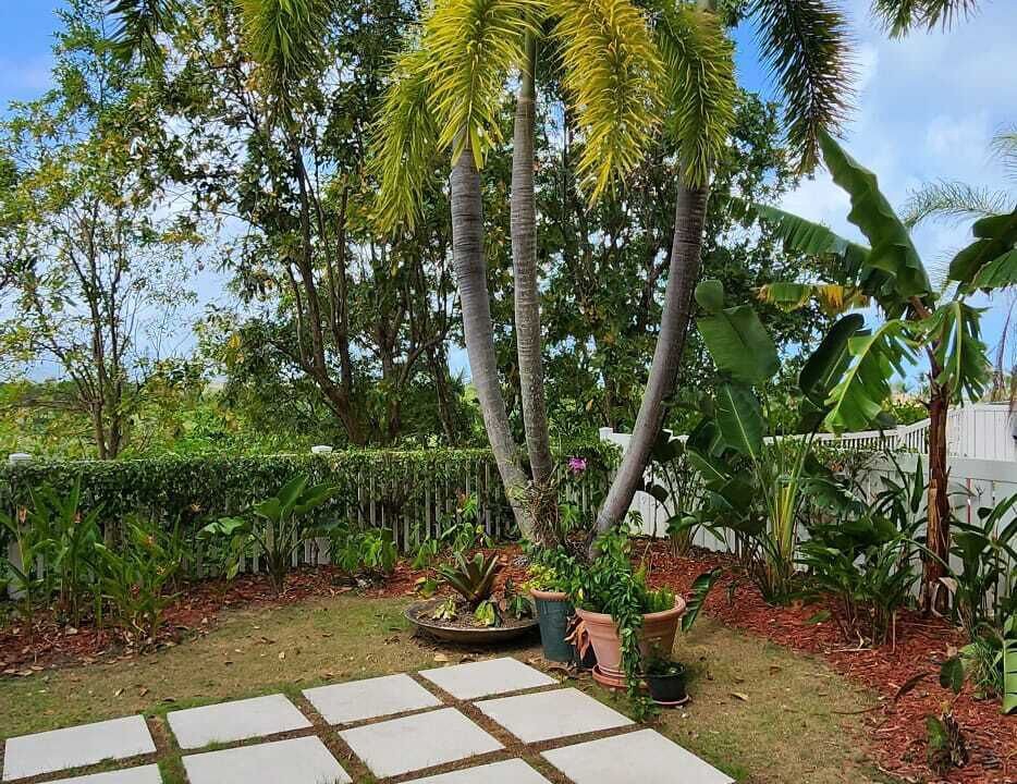 Photo of Outdoor in Candelero Abajo