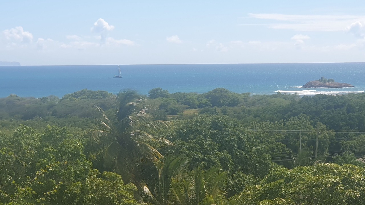 Photo of Outdoor in Johnson's Point