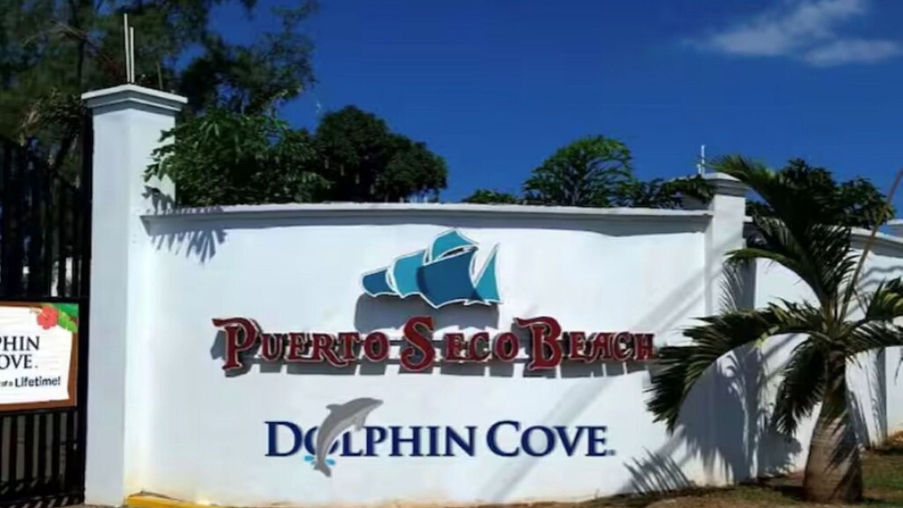Photo of Others in Discovery Bay