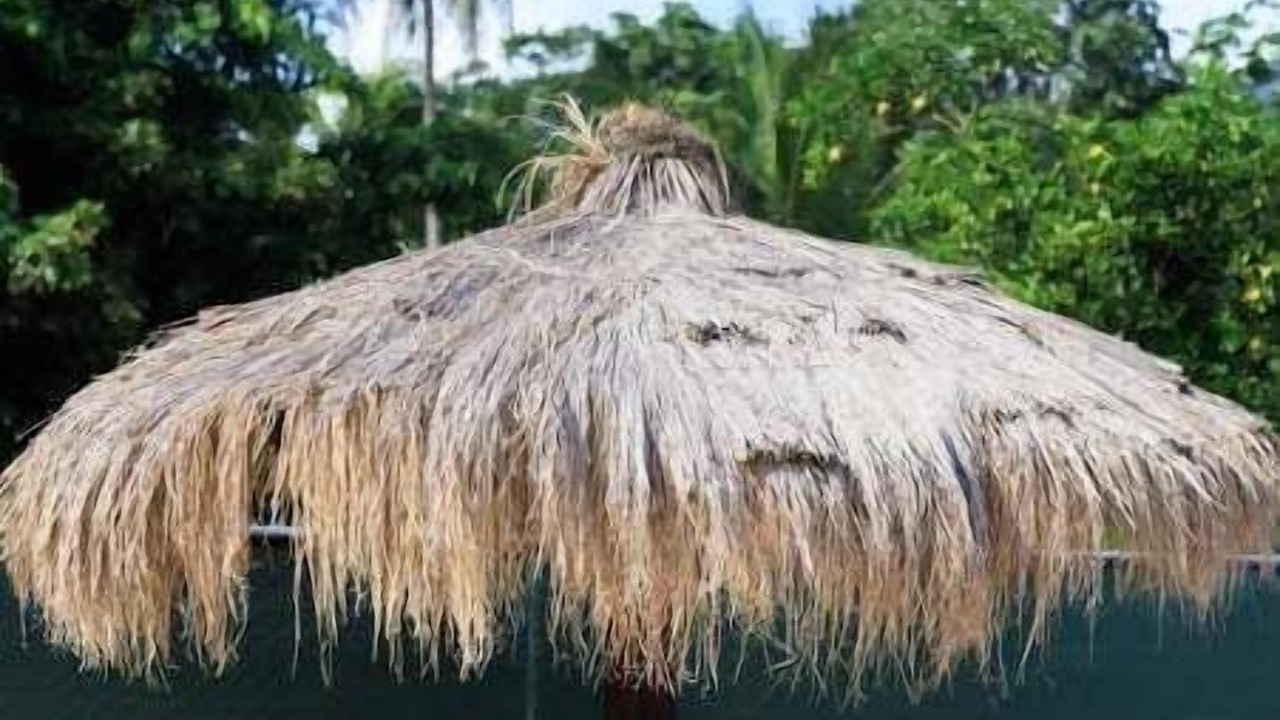 Photo of Patio Balcony in Soufriere Quarter