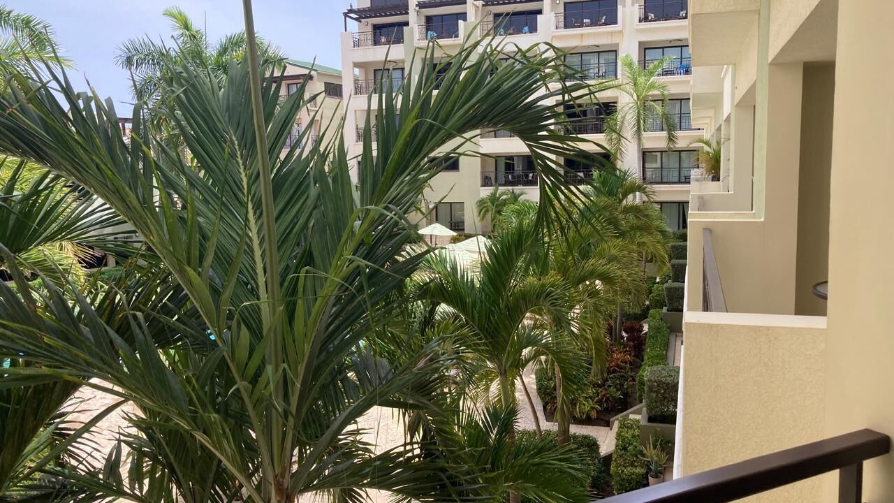 Photo of Outdoor in Palm Beach