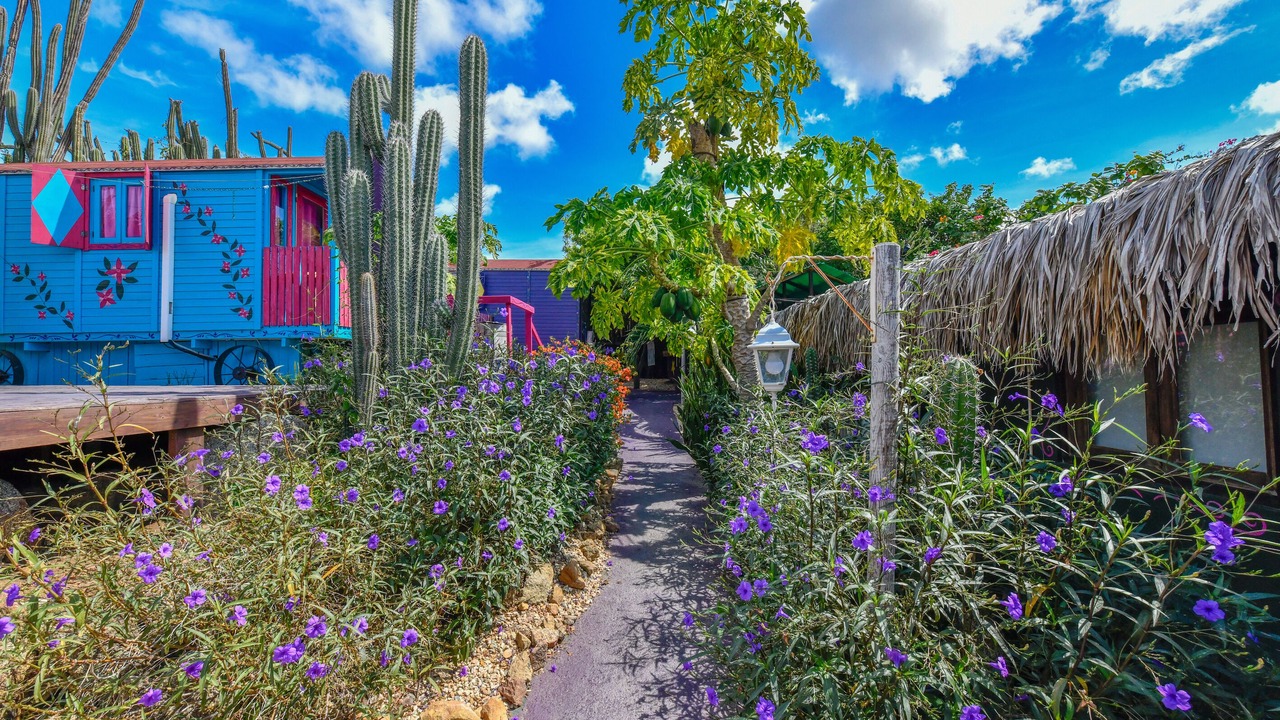 Photo of Outdoor in Oranjestad