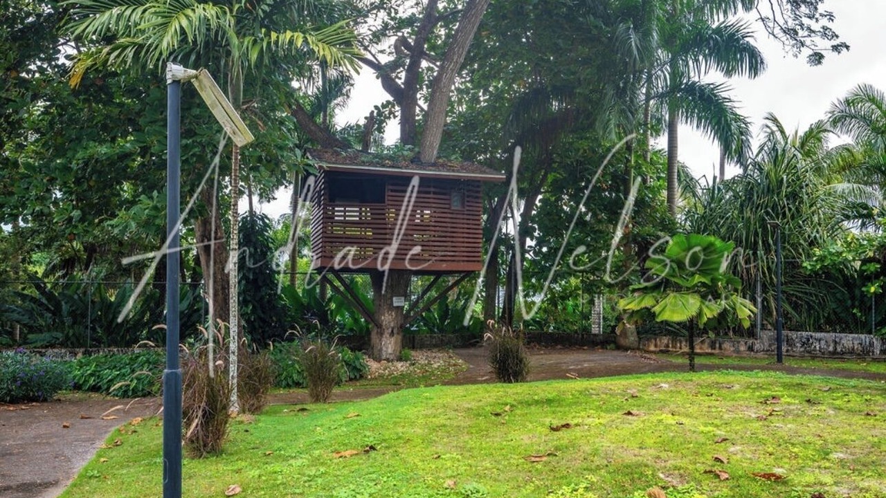Photo of Outdoor in Montego Bay