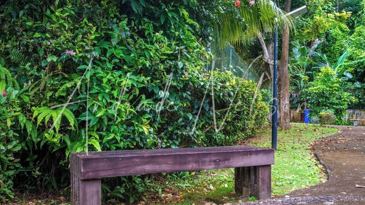 Photo of Outdoor in Montego Bay