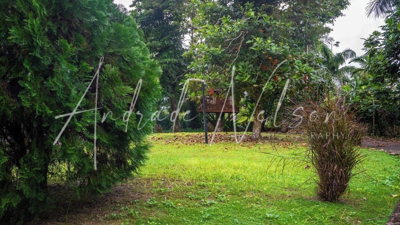Photo of Outdoor in Montego Bay