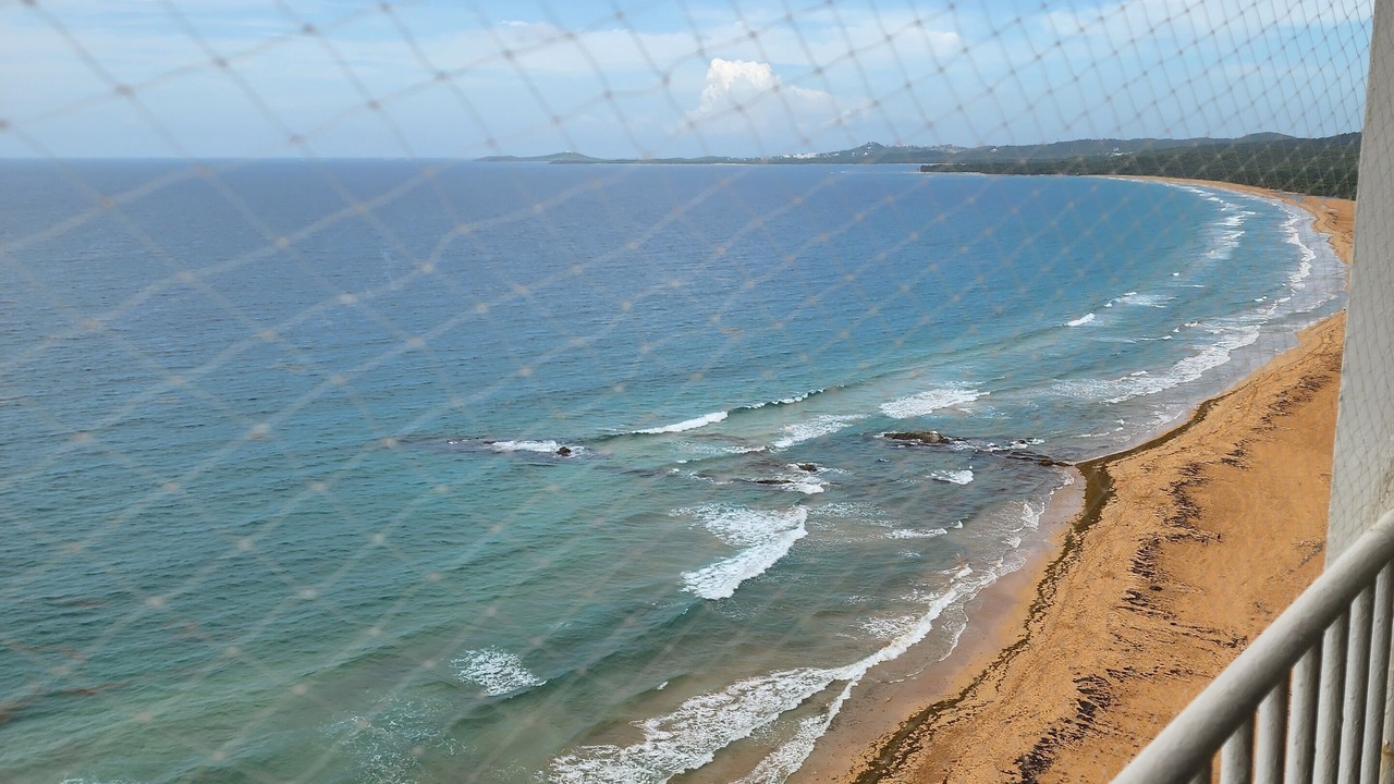 Photo of Others in La Pared