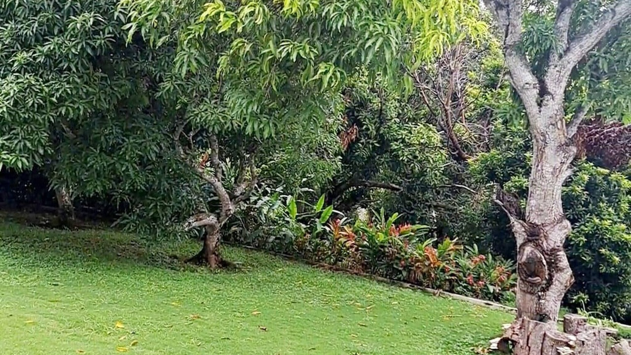 Photo of Outdoor in Montego Bay