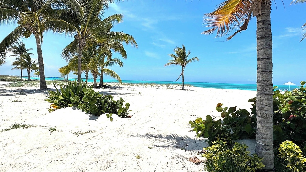 Photo of Others in Treasure Cay