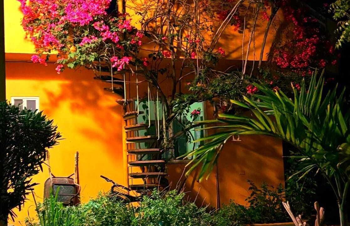 Photo of Outdoor in Palm Beach