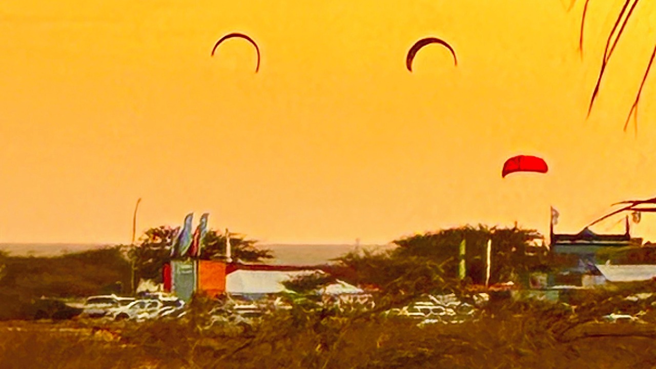 Photo of Others in Palm Beach