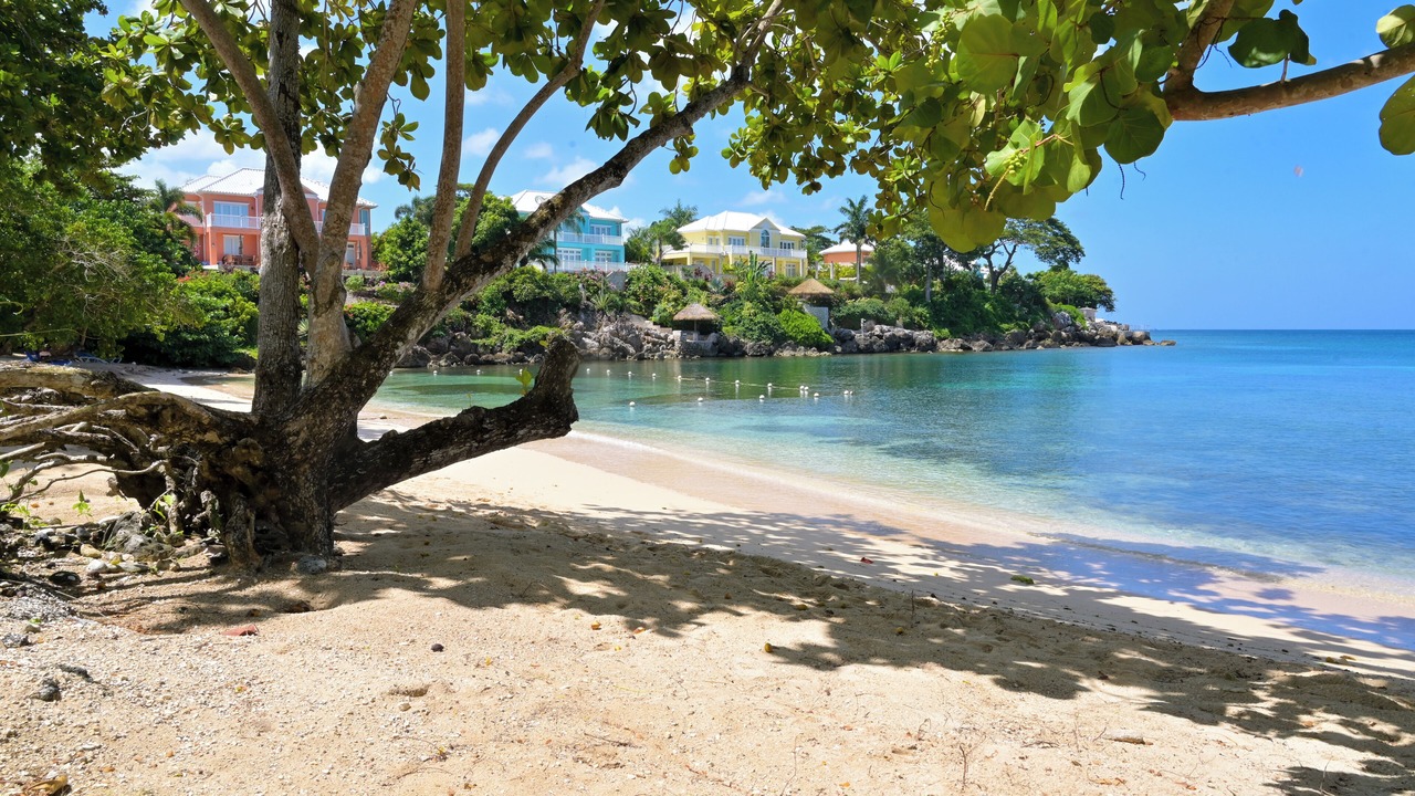 Photo of Others in Orange Bay
