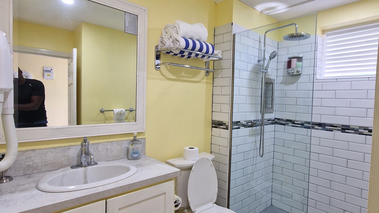 Photo of Bathroom in Soufriere Quarter