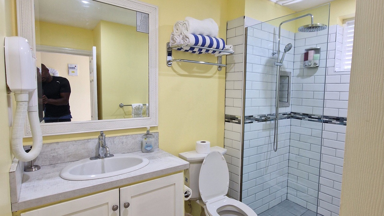 Photo of Bathroom in Soufriere Quarter