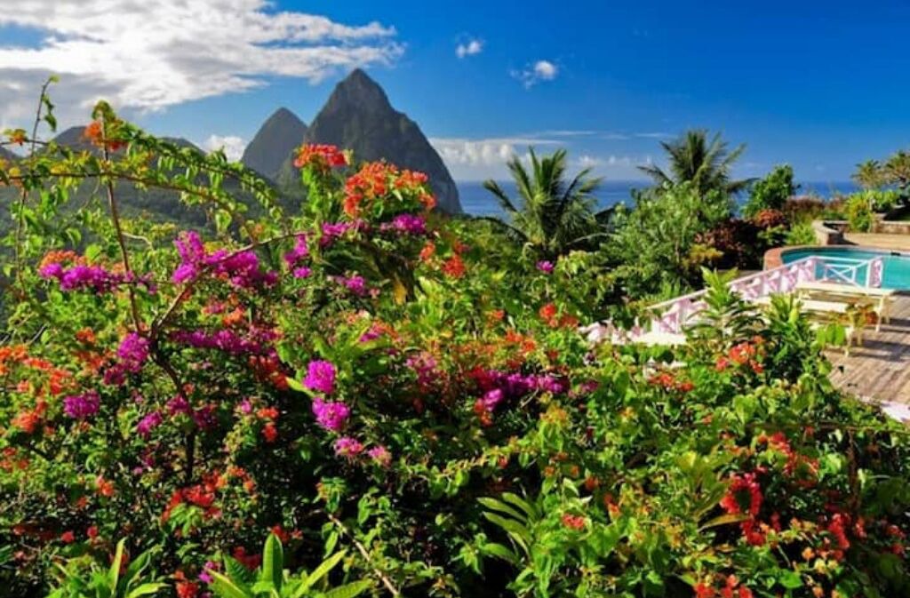 Photo of Outdoor in Palmiste