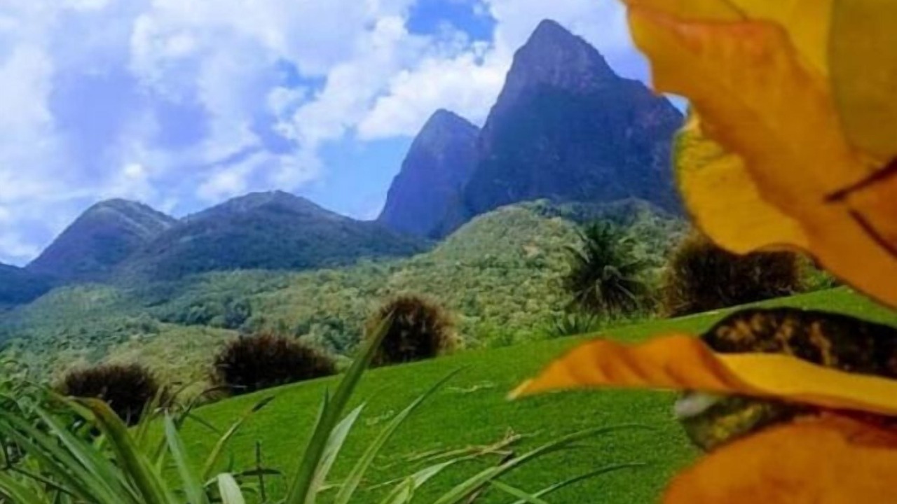 Photo of Outdoor in Palmiste