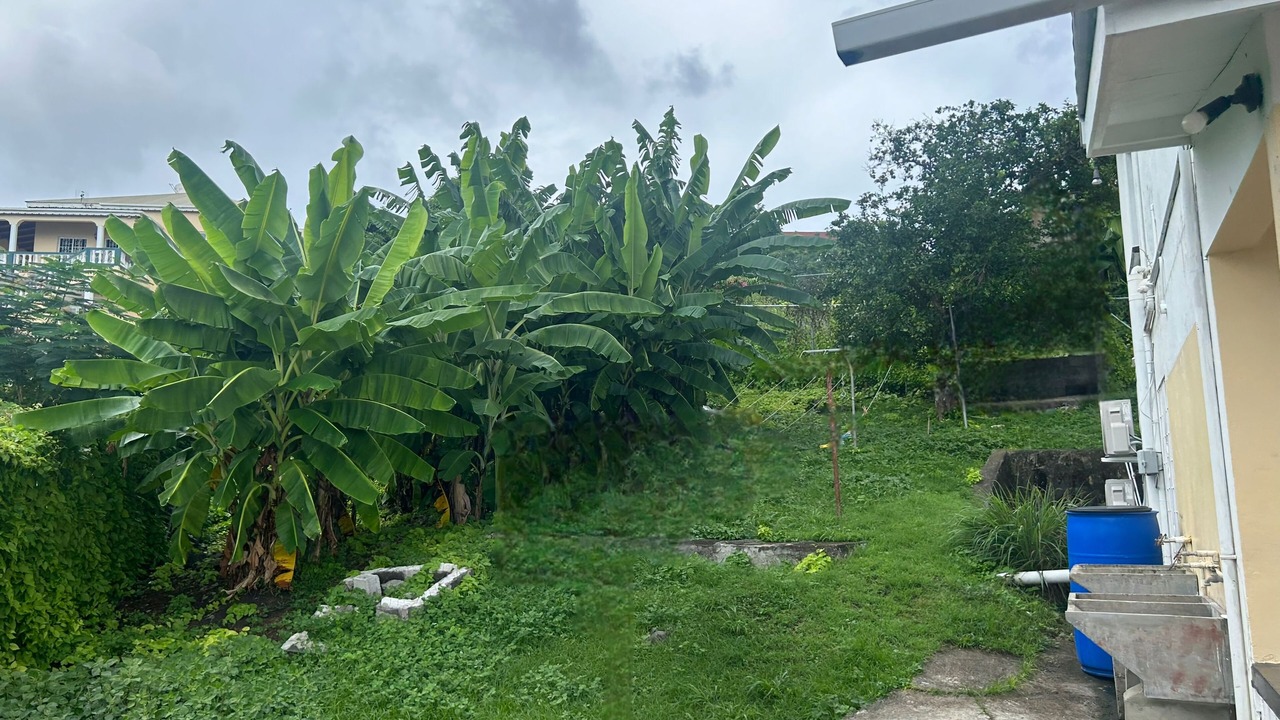 Photo of Outdoor in St. George's
