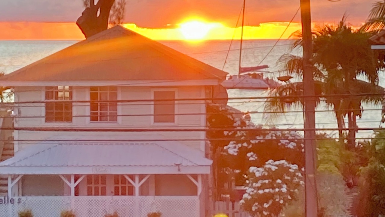 Photo of Others in Old Trees Bay