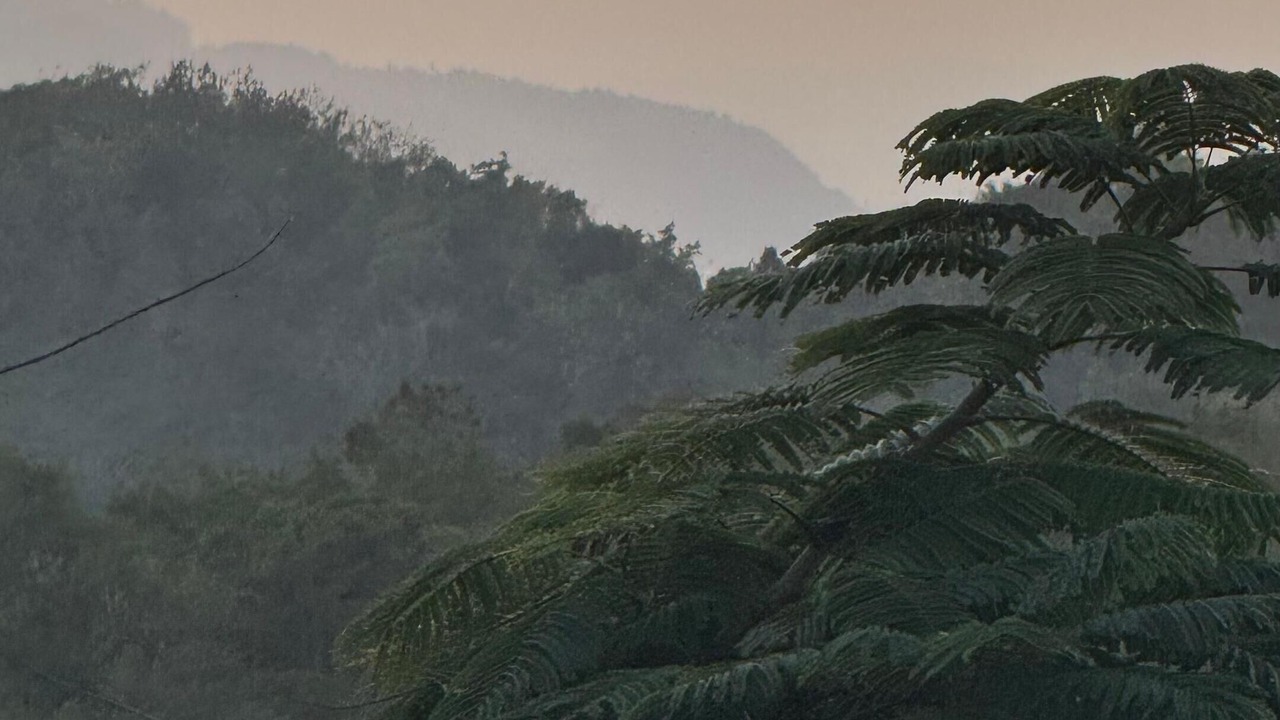 Photo of Others in La Ceiba