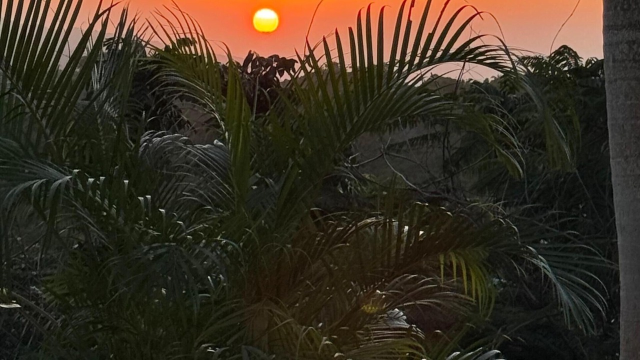 Photo of Outdoor in La Ceiba