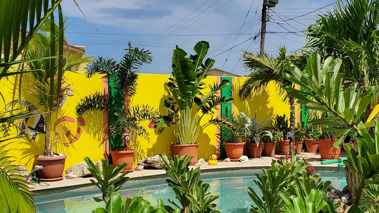 Photo of Outdoor in Tanki Leendert