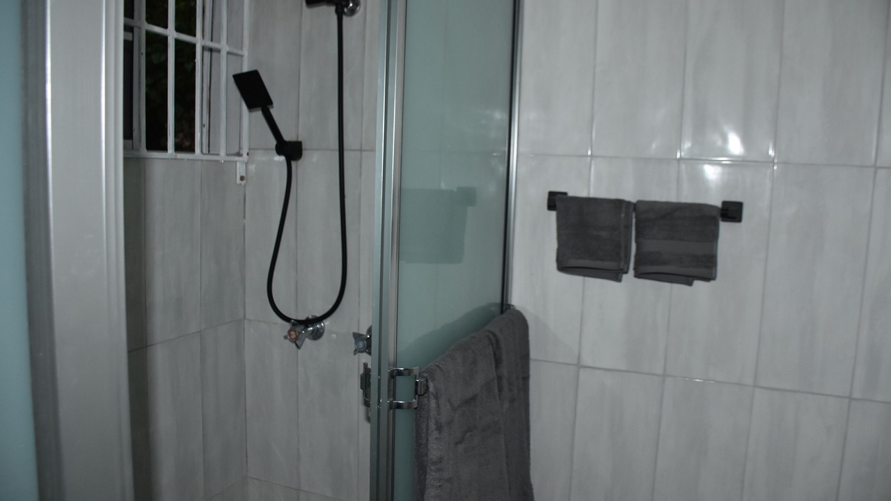 Photo of Bathroom in Port Antonio