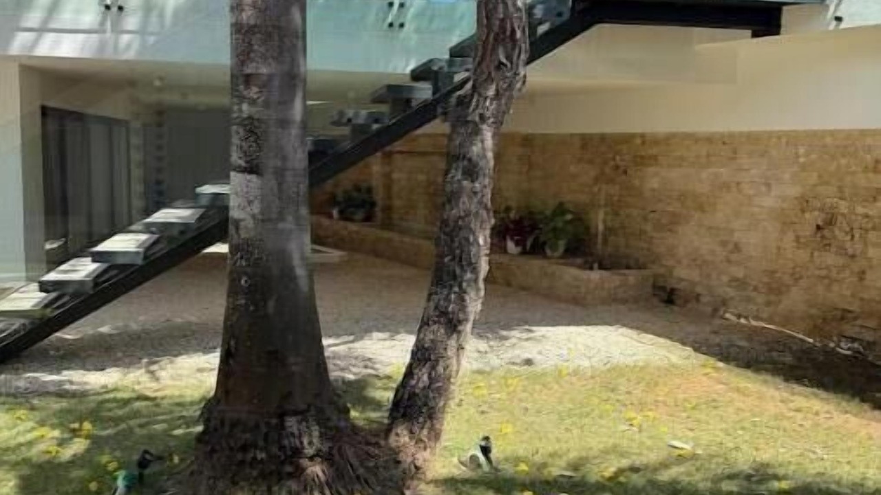 Photo of Outdoor in Los Lagos