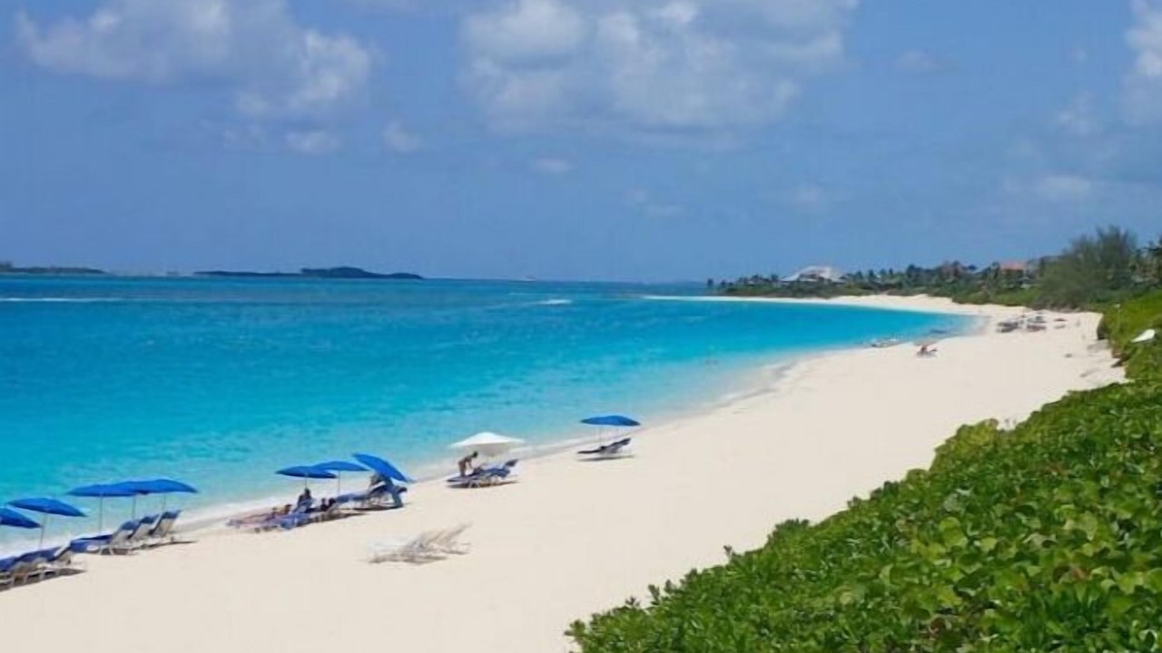 Photo of Others in Paradise Island
