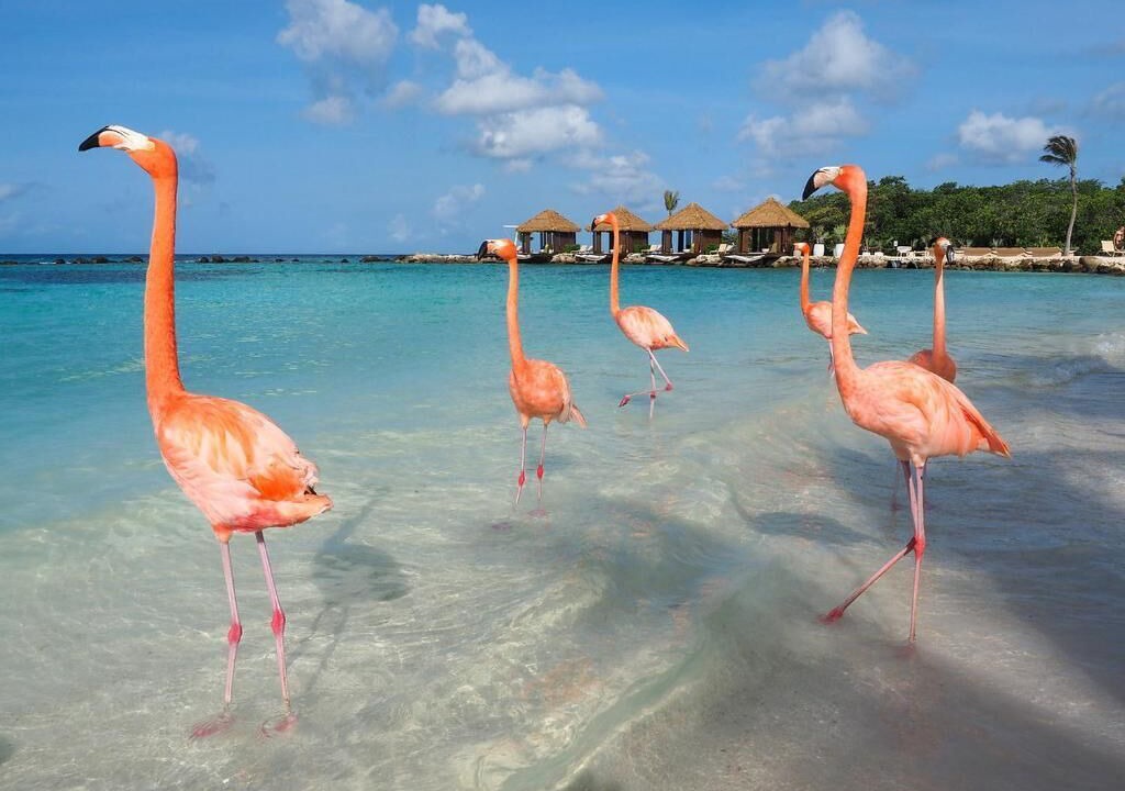 Photo of Others in Oranjestad