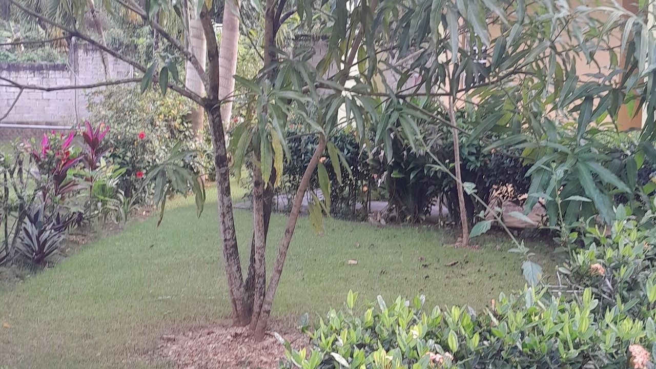 Photo of Outdoor in Las Terrenas