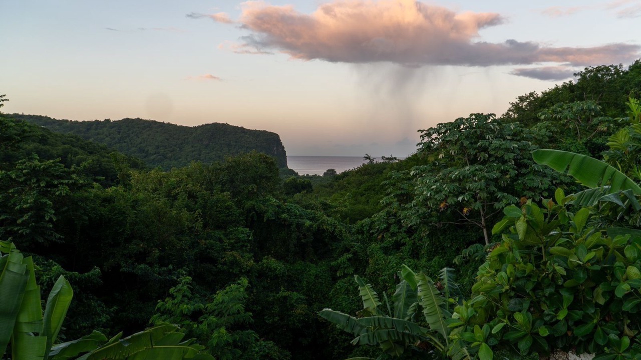 Photo of Others in Marigot Bay