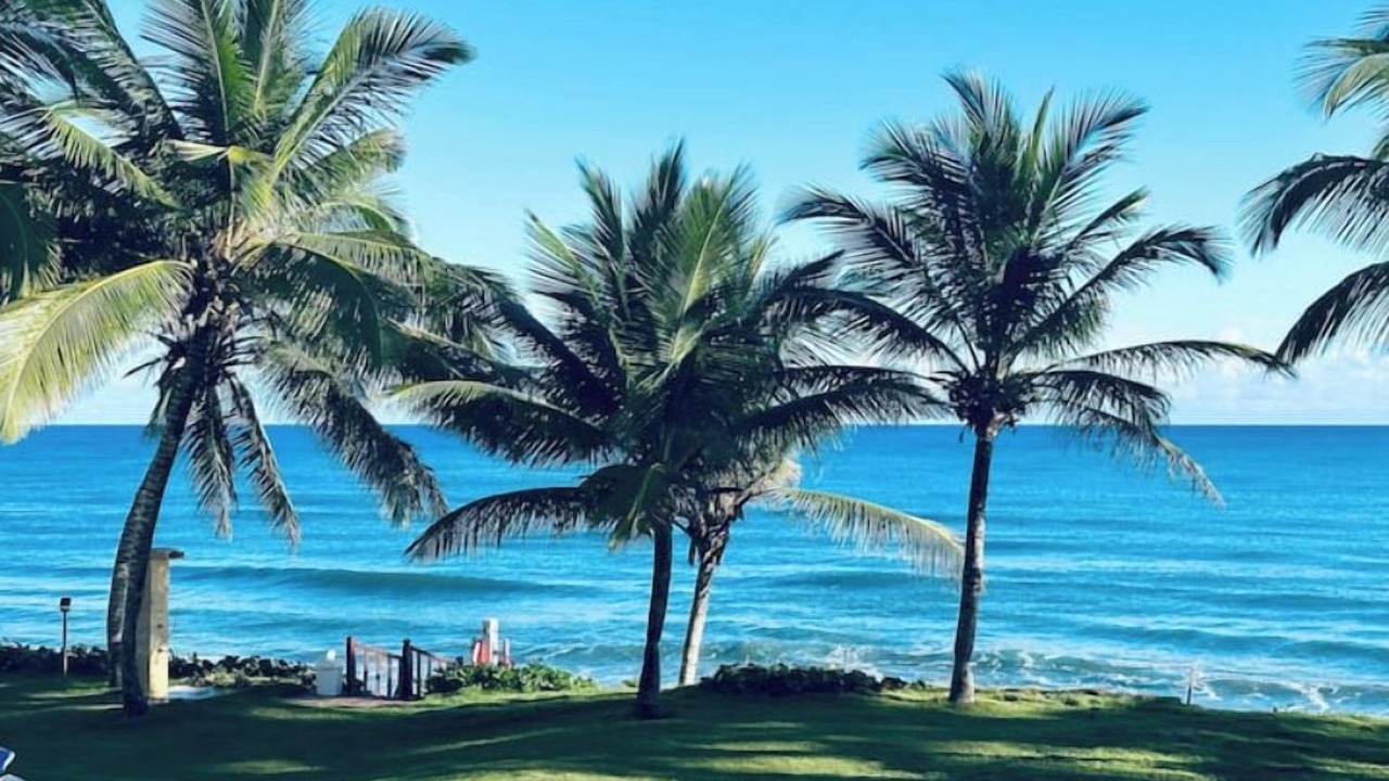 Photo of Others in Cabarete
