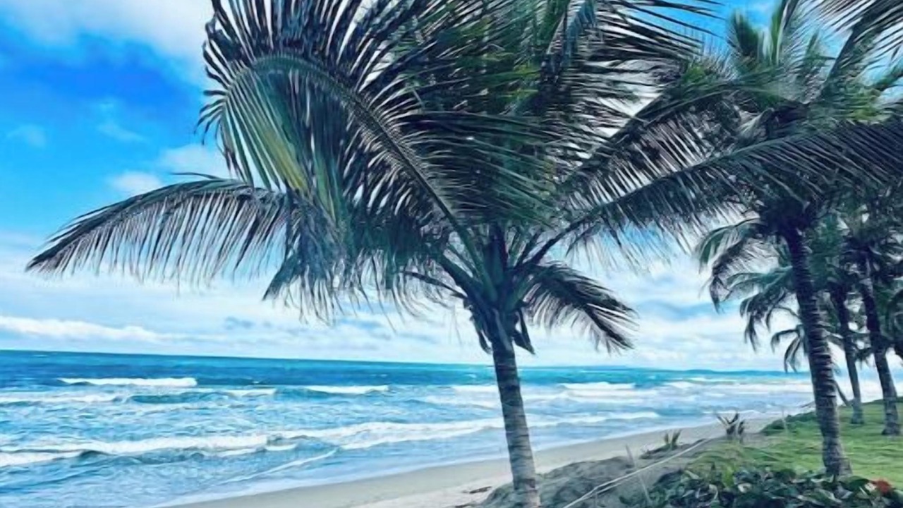 Photo of Others in Cabarete