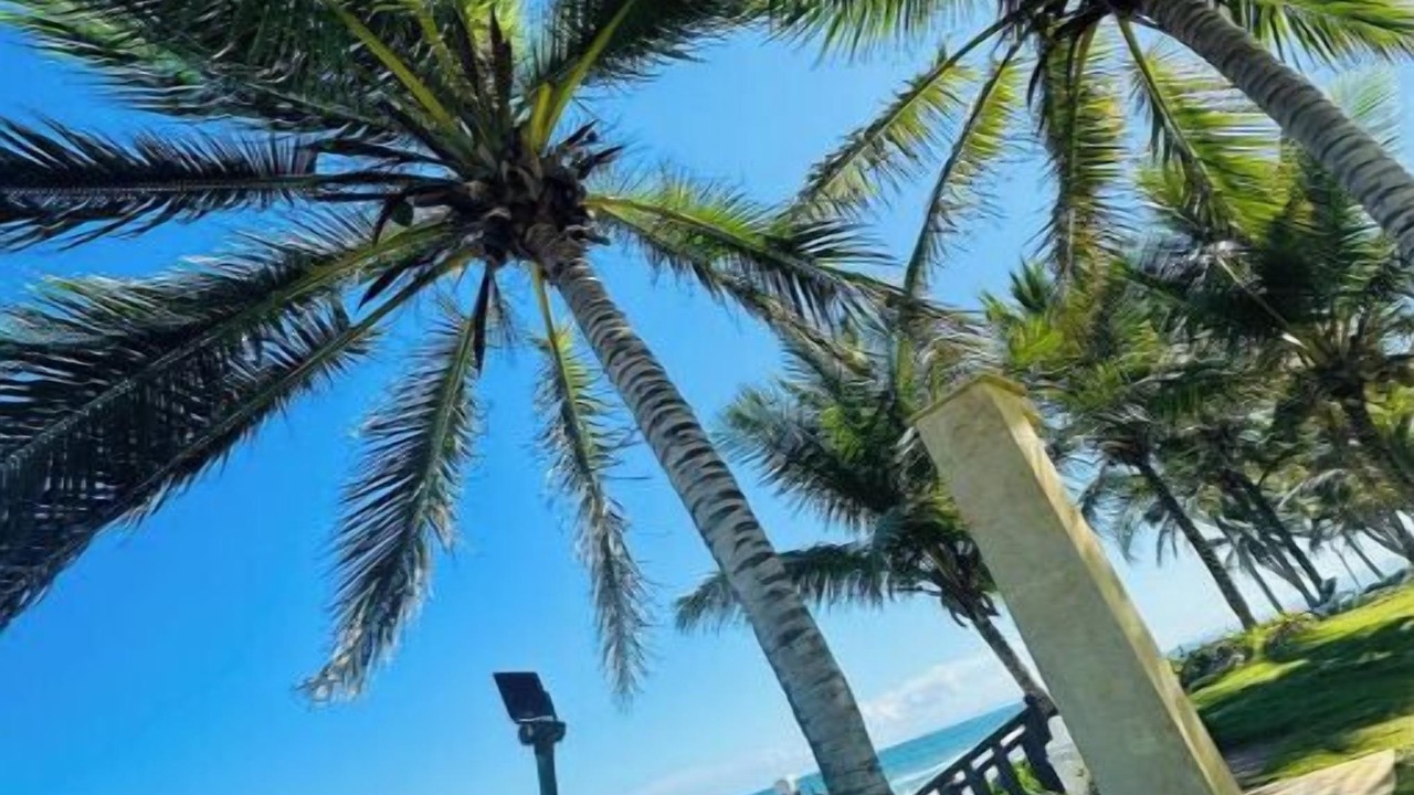 Photo of Others in Cabarete