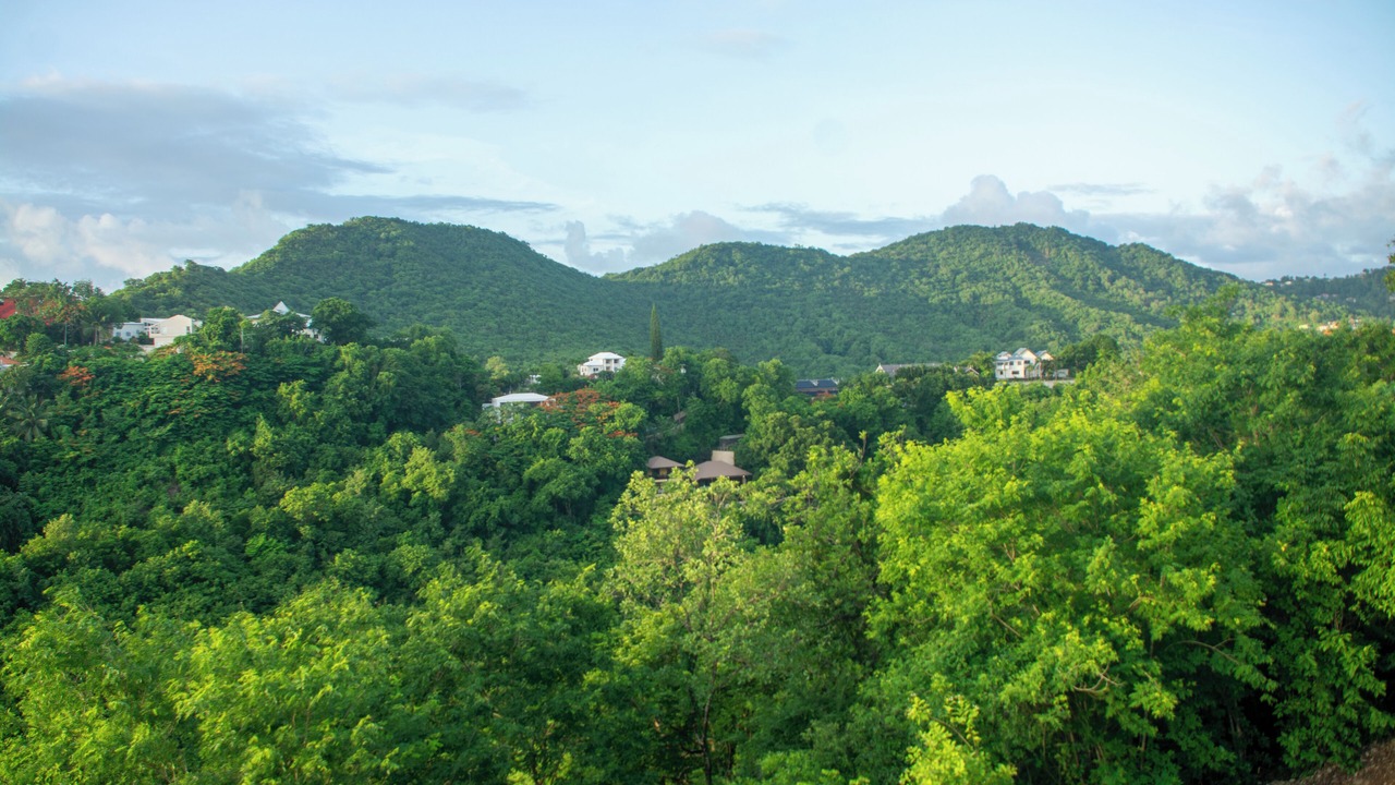 Photo of Others in Marigot Bay