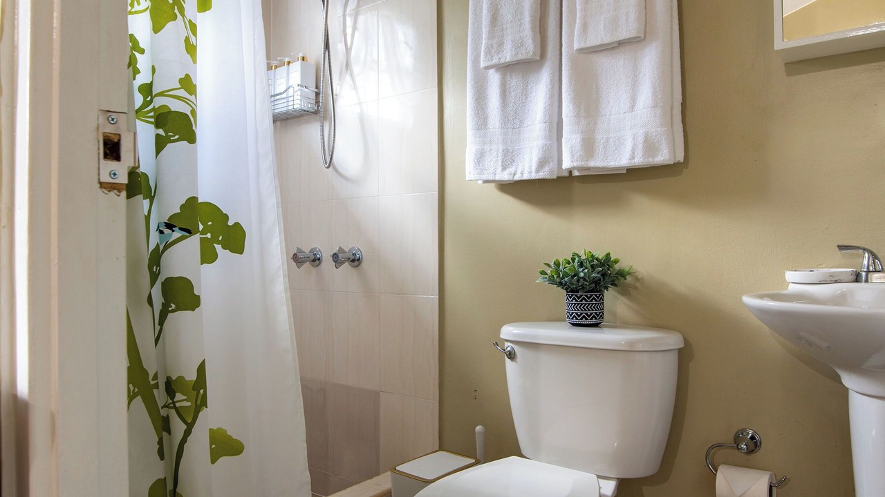 Photo of Bathroom in St. Ann's Bay