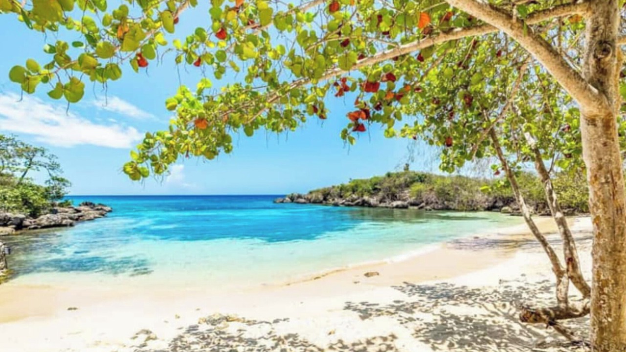 Photo of Others in St. Ann's Bay