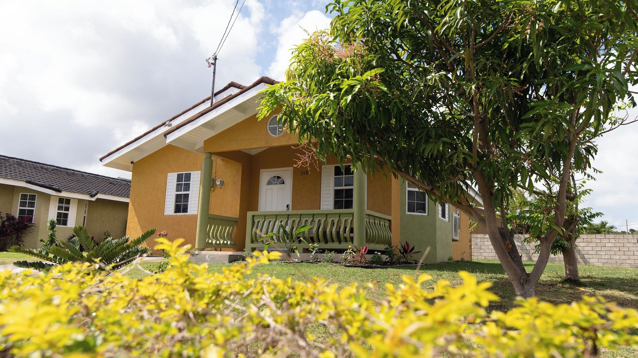 Photo of Outdoor in St. Ann's Bay