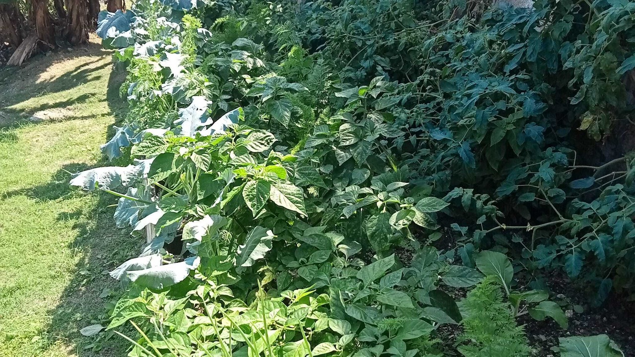 Photo of Outdoor in Runaway Bay