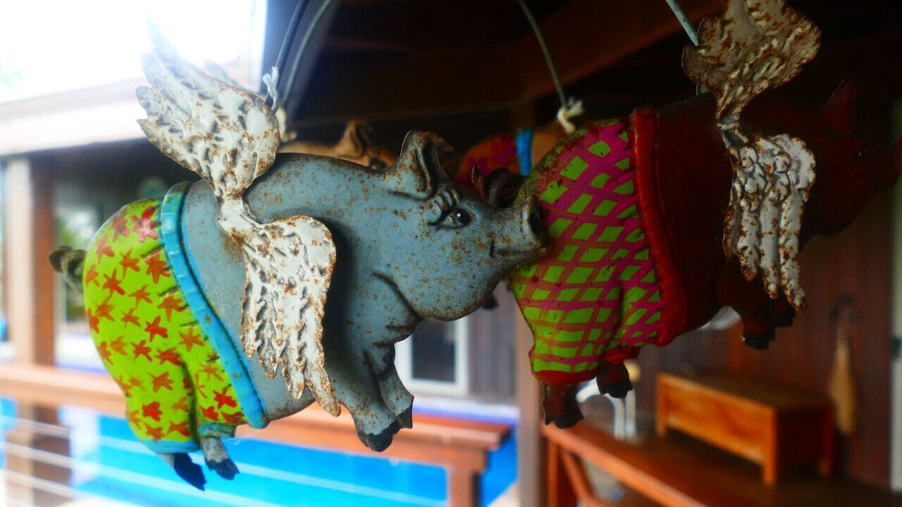 Photo of Others in San Ignacio