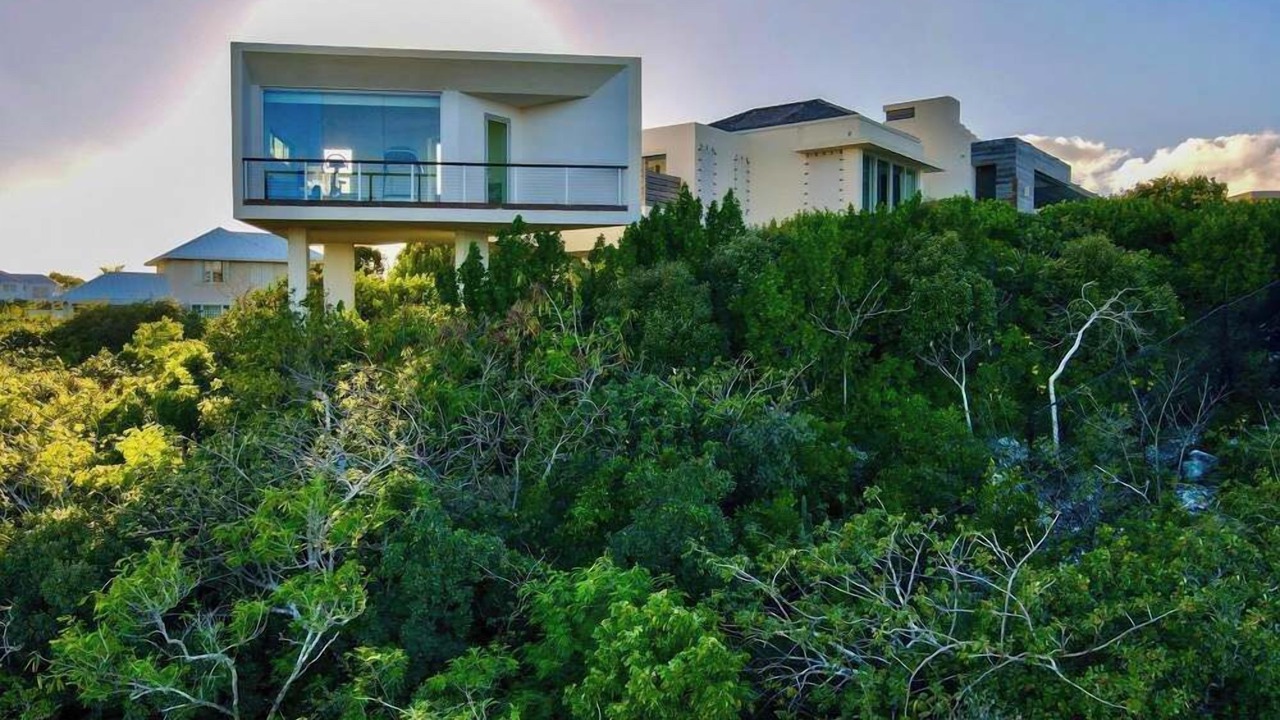 Photo of Outdoor in Blue Mountain