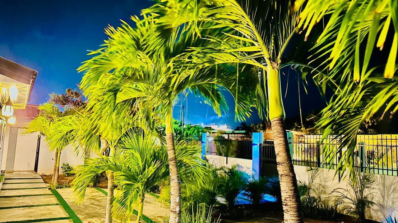 Photo of Outdoor in Oranjestad-West