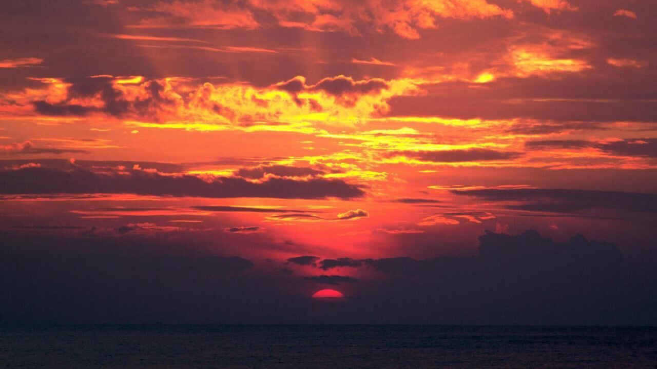 Photo of Others in Oranjestad-West