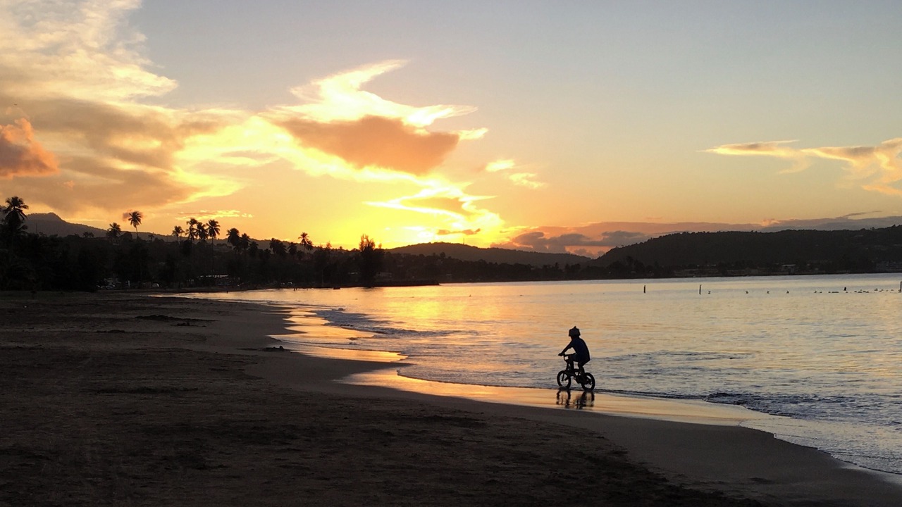 Photo of Others in Playa Fortuna
