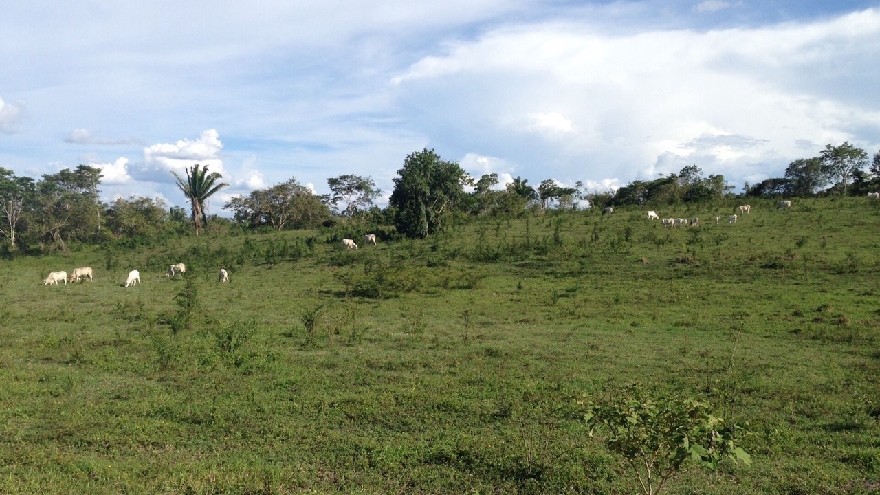 Photo of Others in San Ignacio