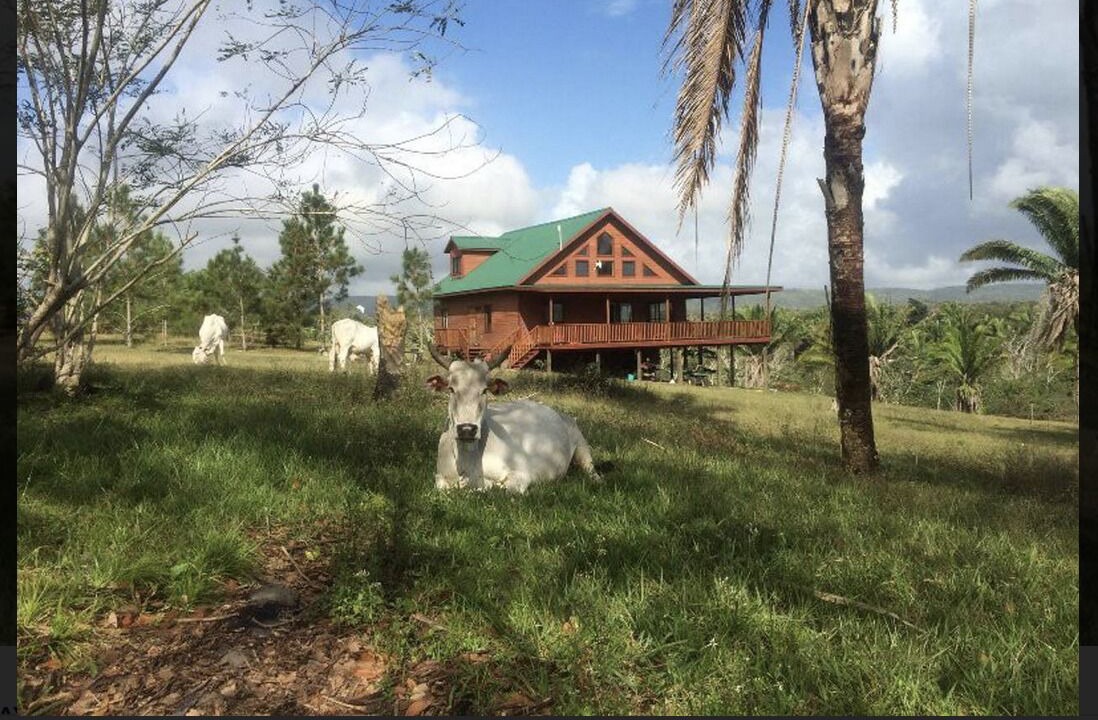 Photo of Others in San Ignacio